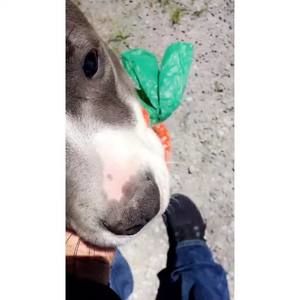 Meet your Posher, Natalya